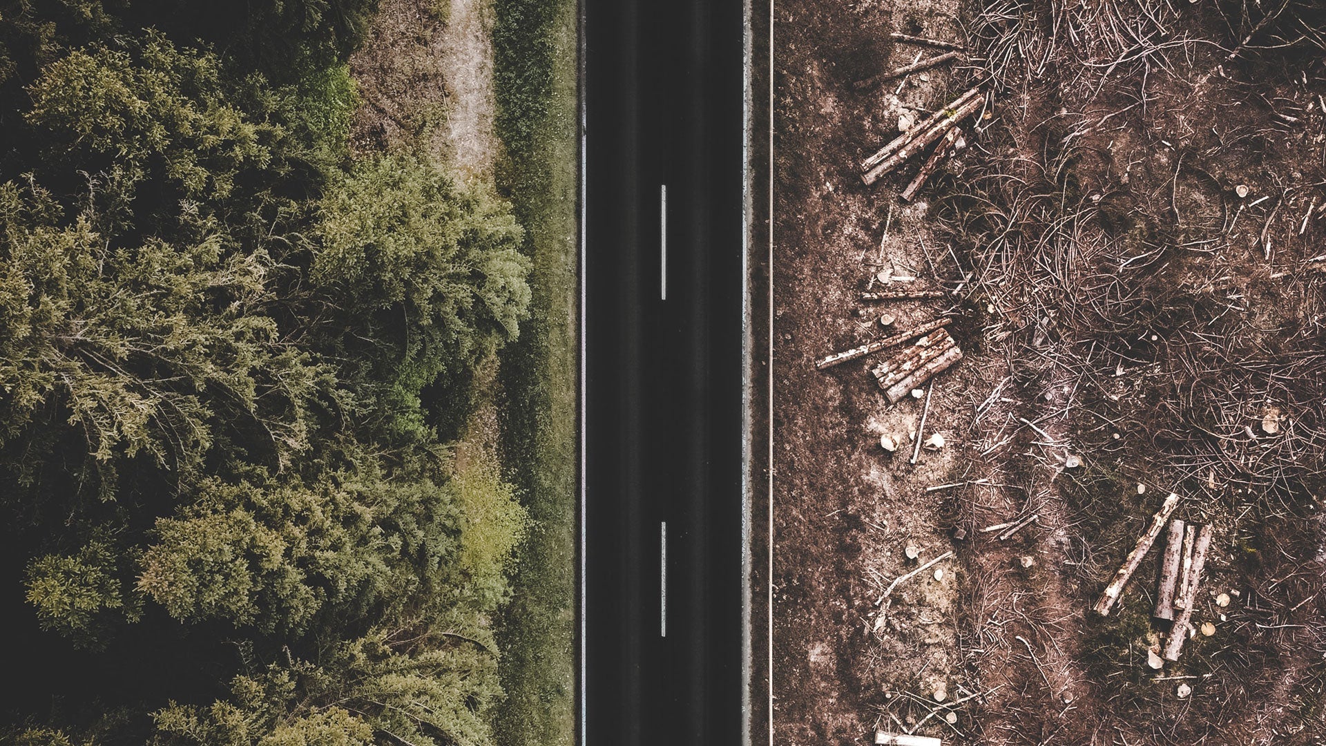 Sustainability at JDD