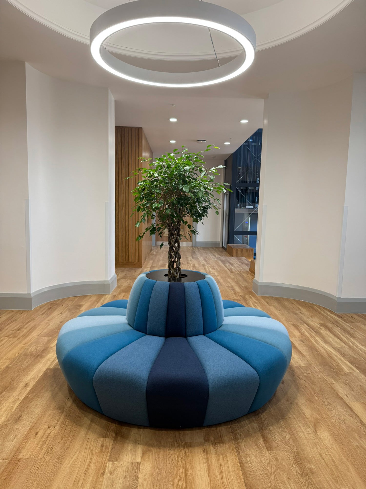 JDD circular terry banquette seating with planter in a reception area.