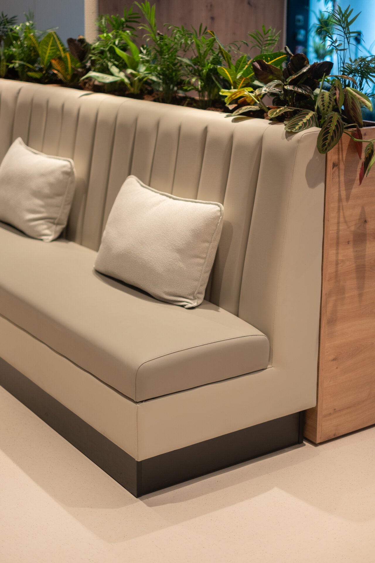 cushions